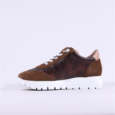 Wonders Odisei Two Tone Bungee Trainer - Brown Metallic